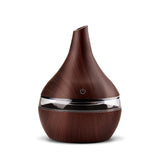 Aroma Air Diffuser | USB Air Humidifier | Store & Get