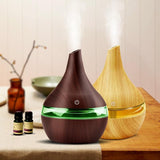 Aroma Air Diffuser | USB Air Humidifier | Store & Get